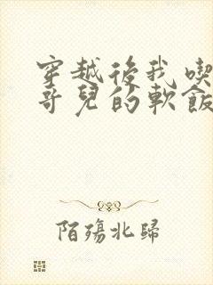 穿越后我吃到了哥儿的软饭炉山灰