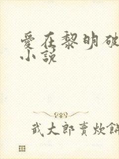 爱在黎明破晓前小说