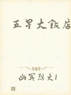五星大饭店小说