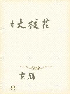 t大校花