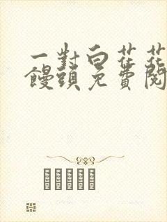 一对白花花的大馒头免费阅读