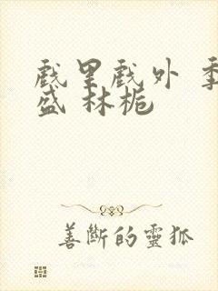 戏里戏外 季淮盛 林栀