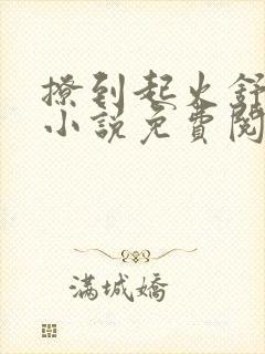 撩到起火舒漾的小说免费阅读全文