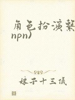 角色扮演系统(npn)