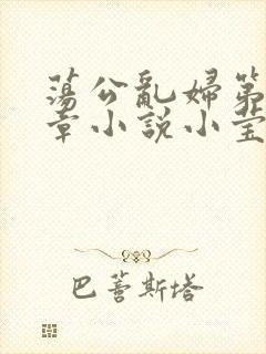 荡公乱妇第51章小说小莹