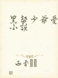黑帮少爷爱上我小说