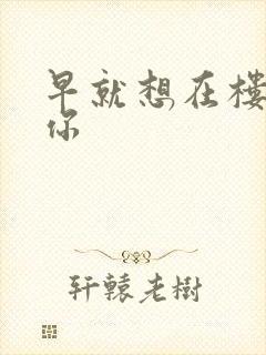 早就想在楼梯要你