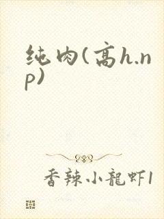 纯肉(高h.np)
