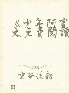 《少年阿宾》全文免费阅读