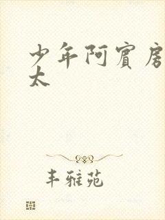 少年阿宾房东太太