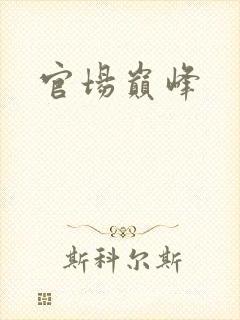 官场巅峰