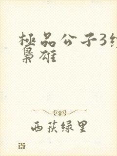 极品公子3续世枭雄