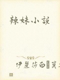 辣妹小说
