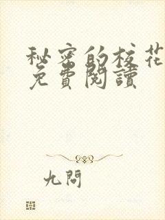 秘密的校花小说免费阅读