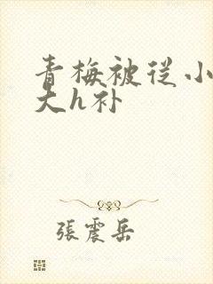 青梅被从小摸到大h补