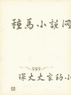 种马小说网