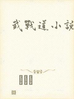武战道小说