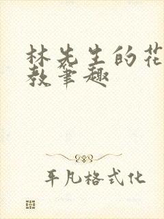 林先生的花式管教笔趣