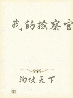 我的检察官先生封面