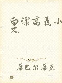 白洁高义小说全文