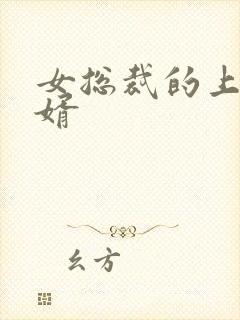 女总裁的上门女婿