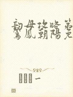 韵母攻略第二部鸾凤朝阳免费阅读