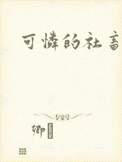 可怜的社畜小说