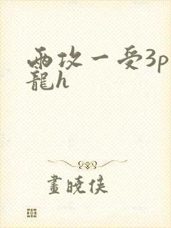 两攻一受3p双龙h