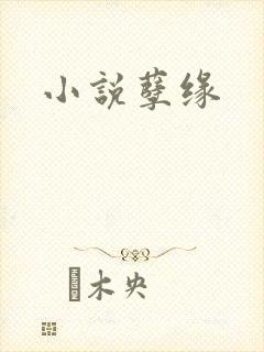 小说孽缘