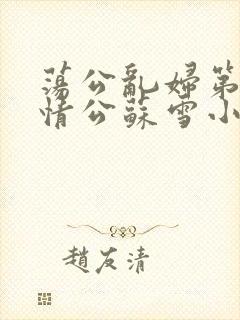 荡公乱妇第1章情公苏雪小说