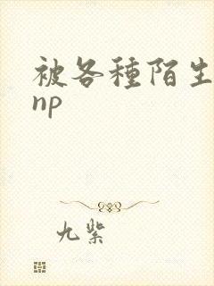 被各种陌生人 np