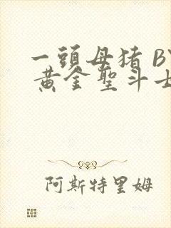 一头母猪 BY 黄金圣斗士