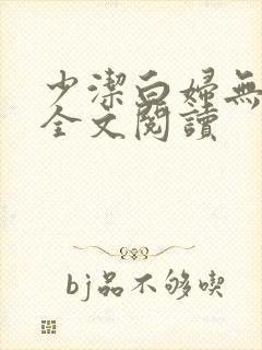 少洁白妇无删减全文阅读