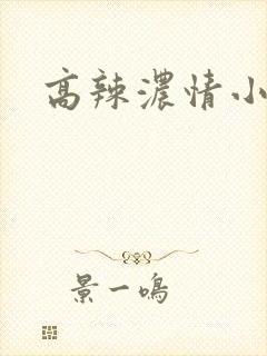 高辣浓情小说