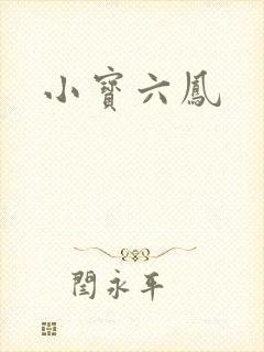 小宝六凤