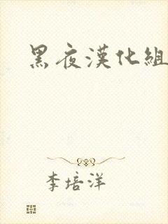 黑夜汉化组