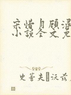 宋惜月顾浔渊的小说全文免费阅读