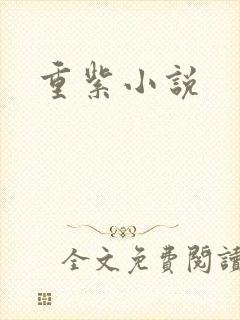 重紫小说