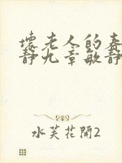 坏老人的春天敏静九章敏静