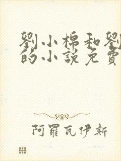 刘小棉和刘易文的小说免费阅读