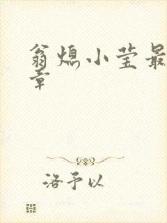 翁熄小莹最新节章