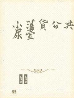 小荡货公共精厕尿壶