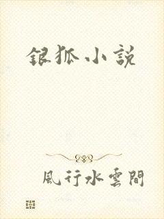银狐小说