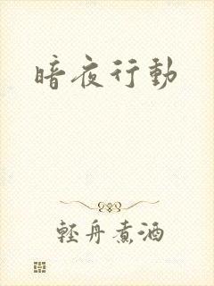 暗夜行动