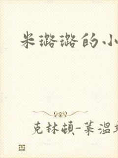 米璐璐的小说