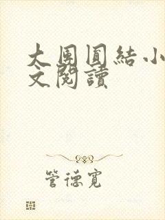 大团圆结小茹全文阅读