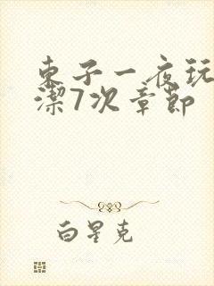 东子一夜玩弄白洁7次章节