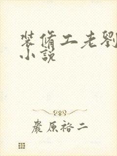 装修工老刘林雪小说