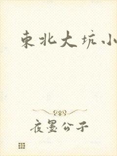 东北大坑小说