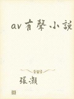 av有声小说